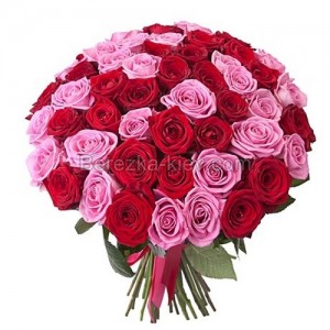 Букет из красных и розовых роз "Мечта" роз 51 шт. 